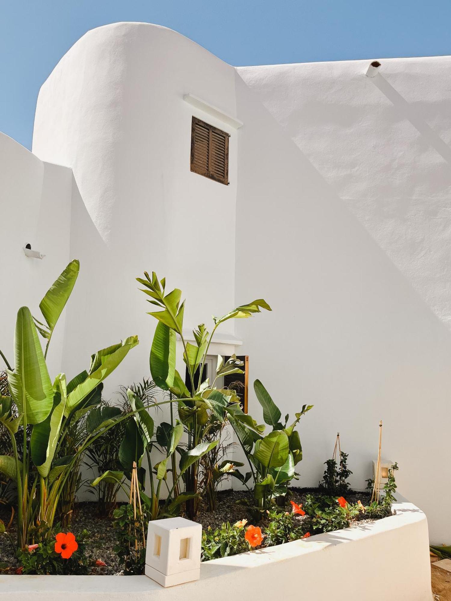 Hotel Fergus Style Punta Arabi Es Cana Esterno foto